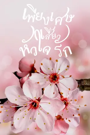 ปกนิยาย เพียงเศษเสี้ยวหัวใจรัก มี E-book