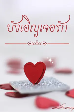 ปกนิยาย บังเอิญเจอรัก (นักเขียนหน้าใหม่)