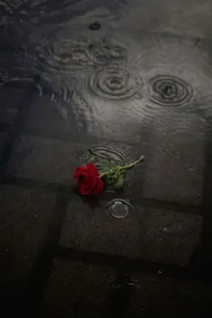 ปกนิยาย ผู้ชายในฤดูที่หายไป