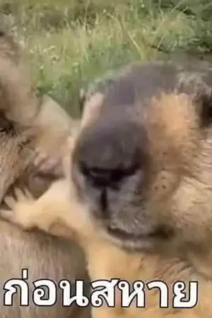 ปกนิยาย ผมต้องจัดการบอสเพื่อจะได้กลับบ้าน