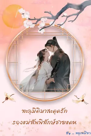 ปกนิยาย ทะลุมิติมาสะดุดรัก รองแม่ทัพพิทักษ์ชายแดน