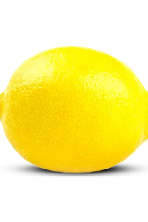 ปกนิยาย ลิขิตฟ้าองค์กรลับ