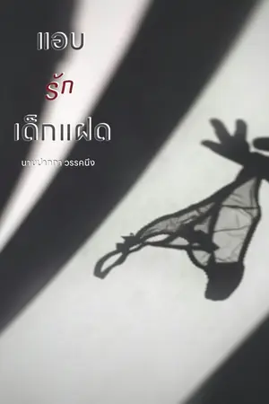 ปกนิยาย แอบรักเด็กแฝด