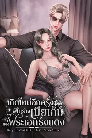 ปกนิยาย เกิดใหม่อีกครั้งในร่างเมียเก็บของพระเอกธงแดง