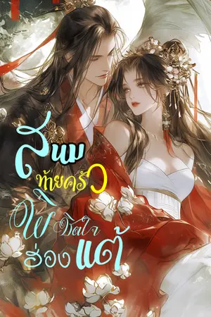 ปกนิยาย สนมท้ายครัวพิชิตใจฮ่องแต้