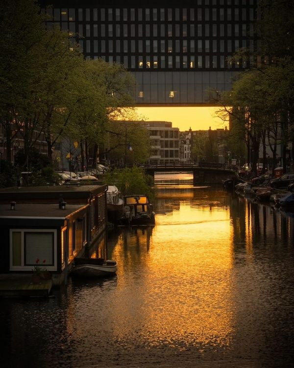 Photo Credit: University of Amsterdam (Facebook)