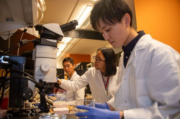 Photo Credit: OIST Okinawa Institute of Science and Technology (Facebook)