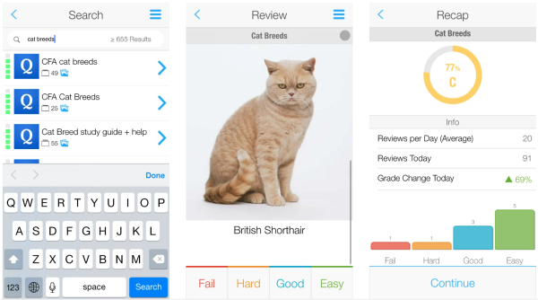 Photo Credit: Anki (Website)