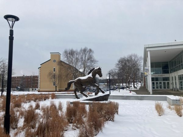 Photo Credit: University of New Haven (Facebook)