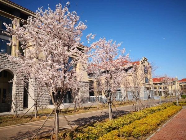 Photo Credit: Shandong University (Facebook)