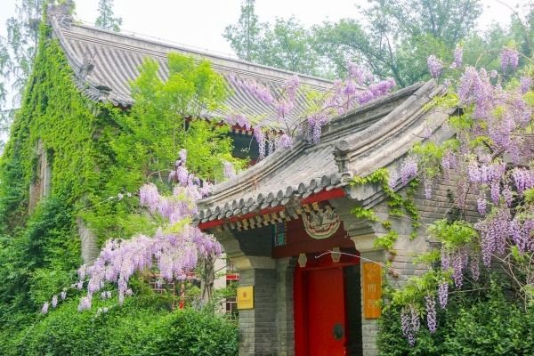 Photo Credit: Yenching Academy of Peking University (Facebook)