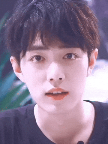 Photo Credit:  GIPHY.com