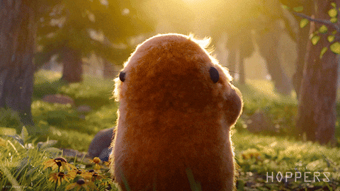 Photo Credit: GIPHY.com