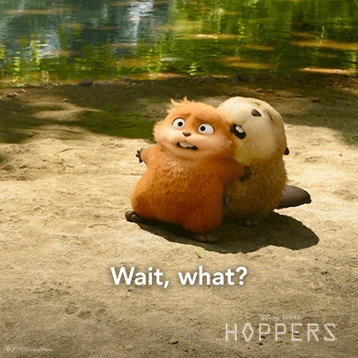 Photo Credit: GIPHY.com