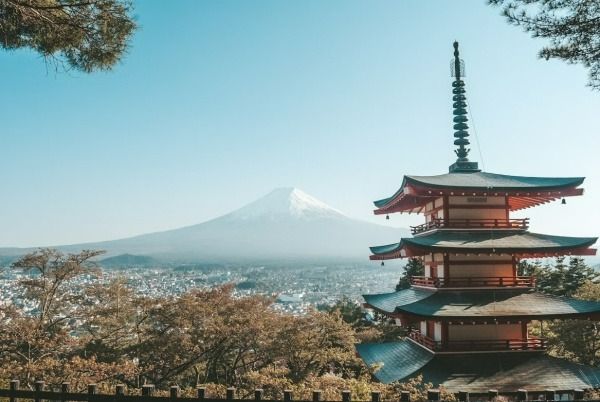Photo by Filiz Elaerts on Unsplash.com