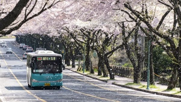 Photo by Ji Seongkwang on Unsplash.com