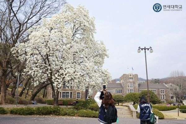 Photo Credit: 연세대학교 - Yonsei University (Facebook)