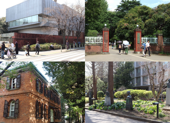 Photo Credit: Tripadvisor (Website)