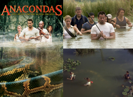 Photo Credit: Movies Anywhere, Tales from the Paulside, Alternate Ending (Website)