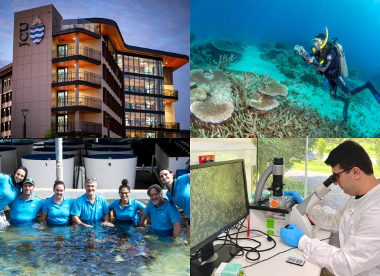 Photo Credit: James Cook University (Website, Facebook)