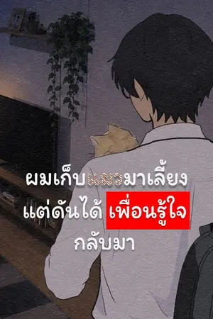 ผมเก็บแมวมาเลี้ยง แต่ดันได้เพื่อนรู้ใจกลับมา