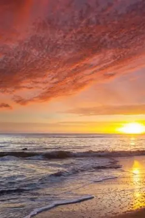 ปกนิยาย คำตอบถึงเพื่อนรัก (จบ)(ฟรี)