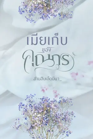ปกนิยาย เมียเก็บของคุณกร
