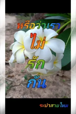 ปกนิยาย หรือว่าเราไม่รักกัน
