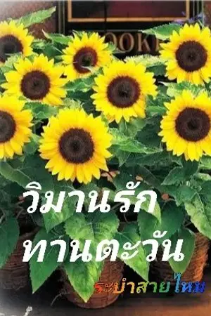 ปกนิยาย วิมานรักทานตะวัน