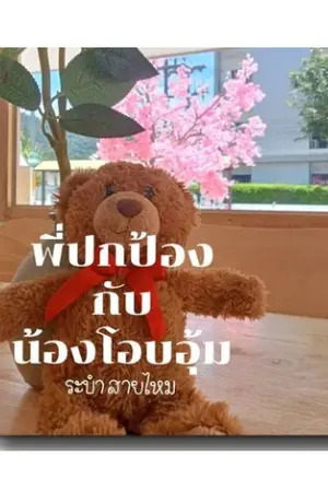 ปกนิยาย พี่ปกป้องกับน้องโอบอุ้ม