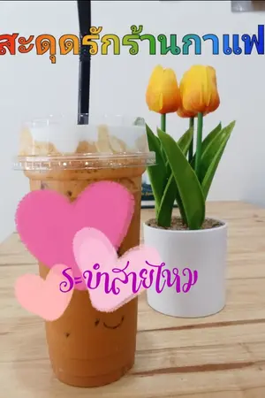 ปกนิยาย สะดุดรักร้านกาแฟ