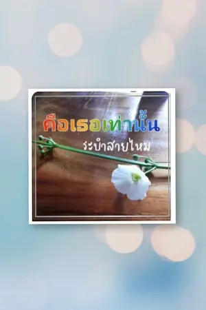 ปกนิยาย คือเธอ..เท่านั้น