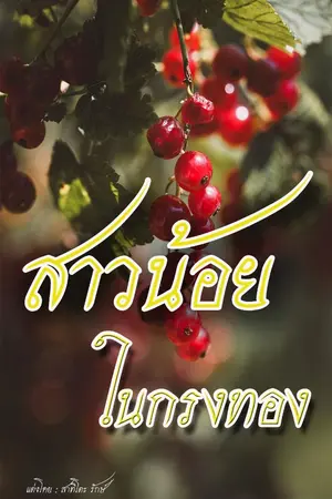 ปกนิยาย สาวน้อยในกรงทอง
