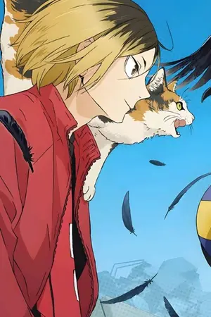 ปกนิยาย ไฮคิว!!: ราชาสิงโตในหมู่แมว