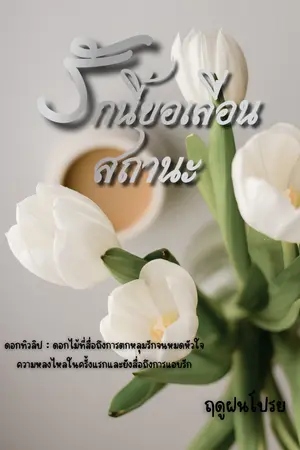 ปกนิยาย รักนี้ขอเลื่อนสถานะ