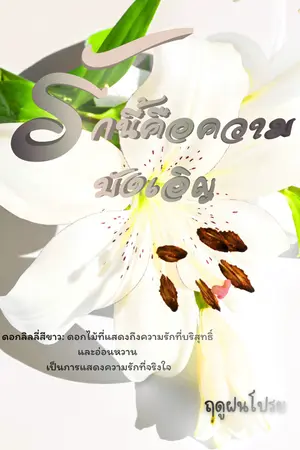 ปกนิยาย รักนี้คือความบังเอิญ