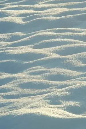 ปกนิยาย อยากลองเขียนนิยาย