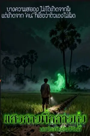 ปกนิยาย แสงสางที่กลางทุ่ง