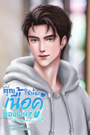 ปกนิยาย คุณใช่มั้ยเนื้อคู่ของผม