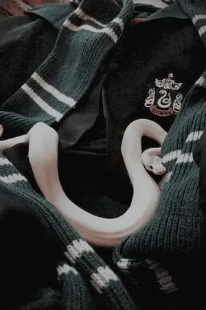 ปกนิยาย [FIC HarryPotter] บ้านสริสธิรินไม่ดีตรงไหน?