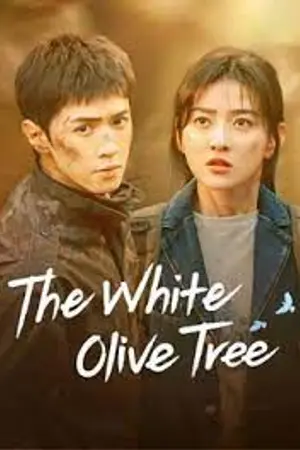 ปกนิยาย The White Olive Tree (2025) ปลูกรักพักใจ ใต้ต้นมะกอกขาว พากย์ไทย EP.1-38 (จบ)
