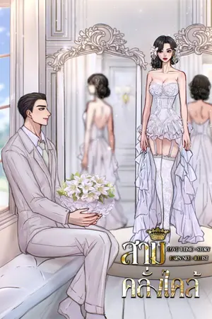 ปกนิยาย