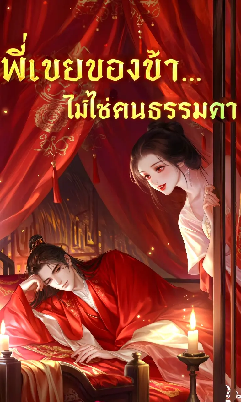 ปกนิยาย พี่เขยของข้า…ไม่ใช่คนธรรมดา