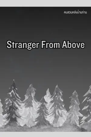 ปกนิยาย Stranger From Above