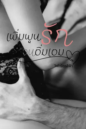 ปกนิยาย เพิ่มพูนรักจนอิ่มเอม