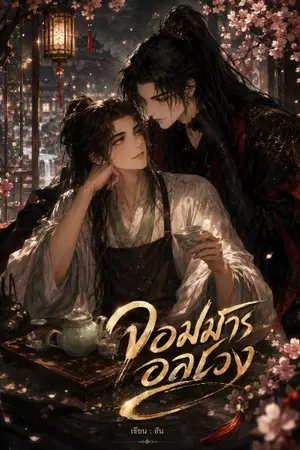 ปกนิยาย จอมมารอลเวง