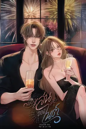 ปกนิยาย ของเล่นของไนต์