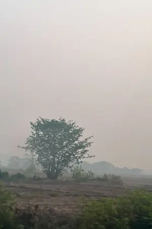 ปกนิยาย ในหนึ่งวัน