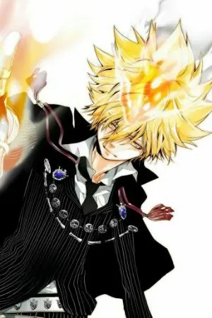 ปกนิยาย [ Fic Reborn | PrimoXOC ] Twilight zone