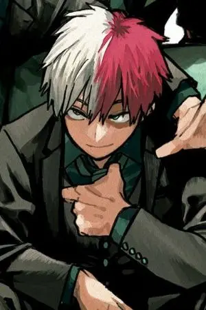 ปกนิยาย [ Fic MHA | TodorokiXOC ] Delicate flower